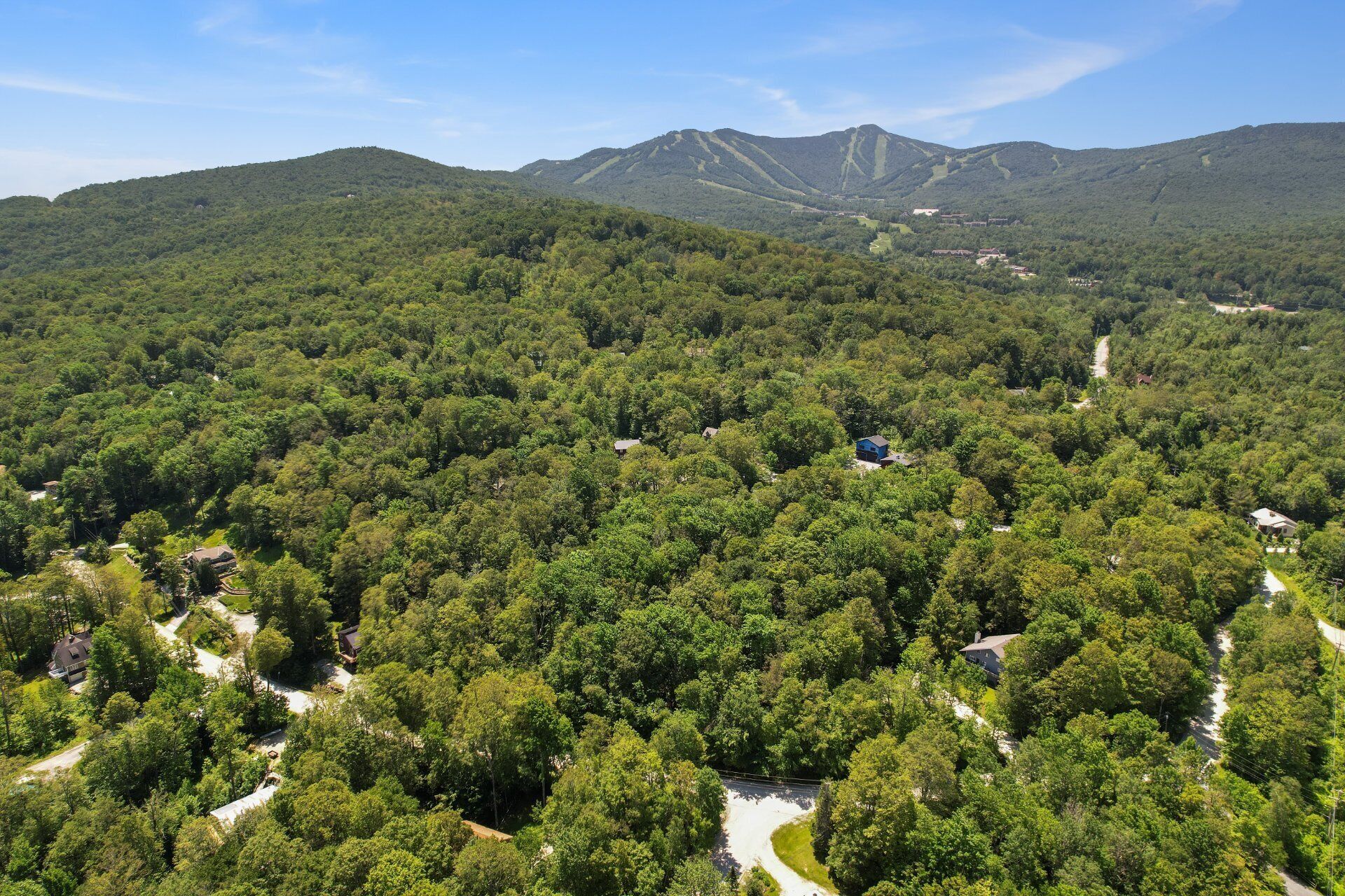 Zona boscosa con edificios dispersos, un camino sinuoso y montañas al fondo.
