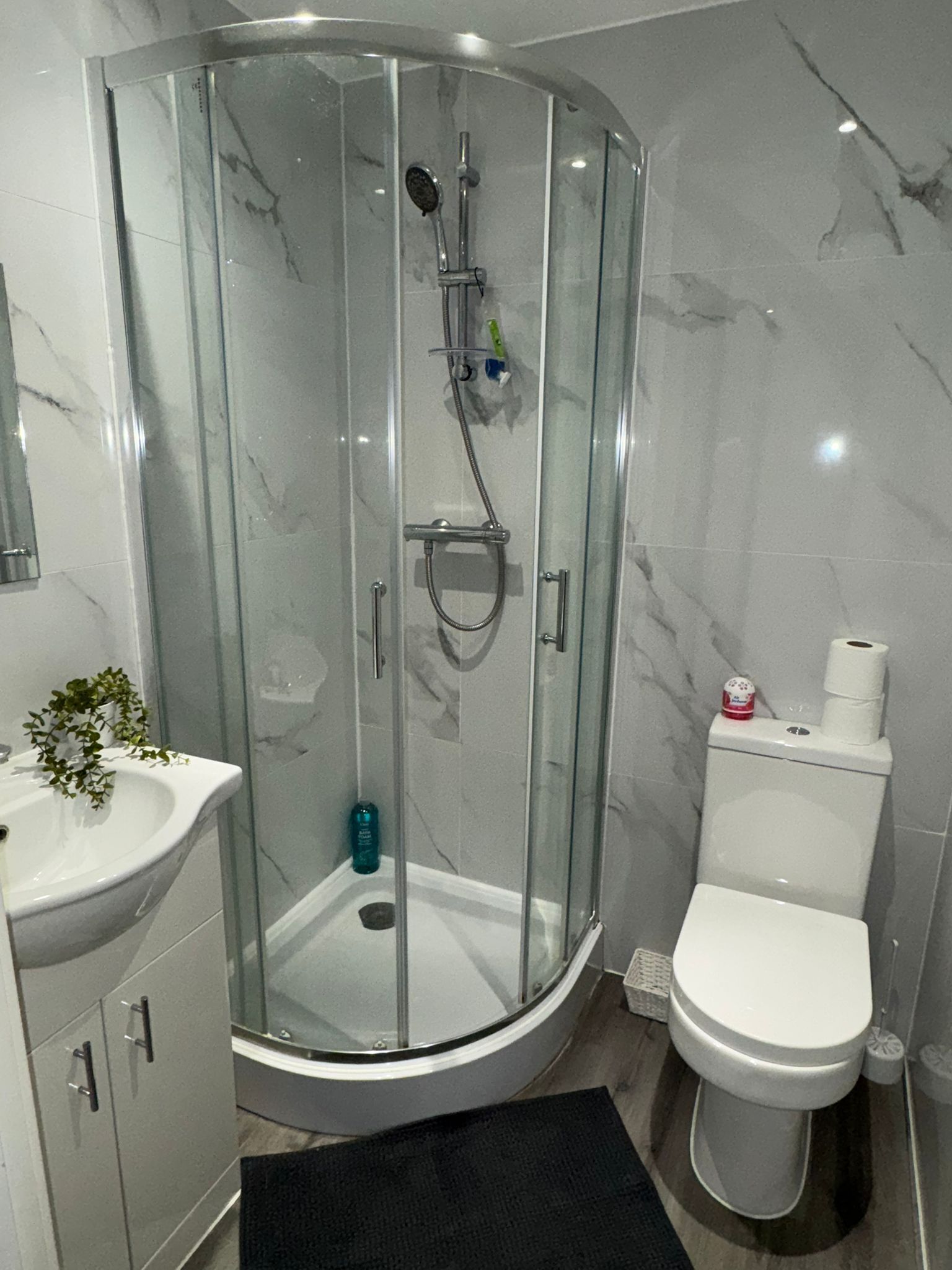 A modern bathroom with a glass-enclosed shower, a white toilet, and a sink with a plant.