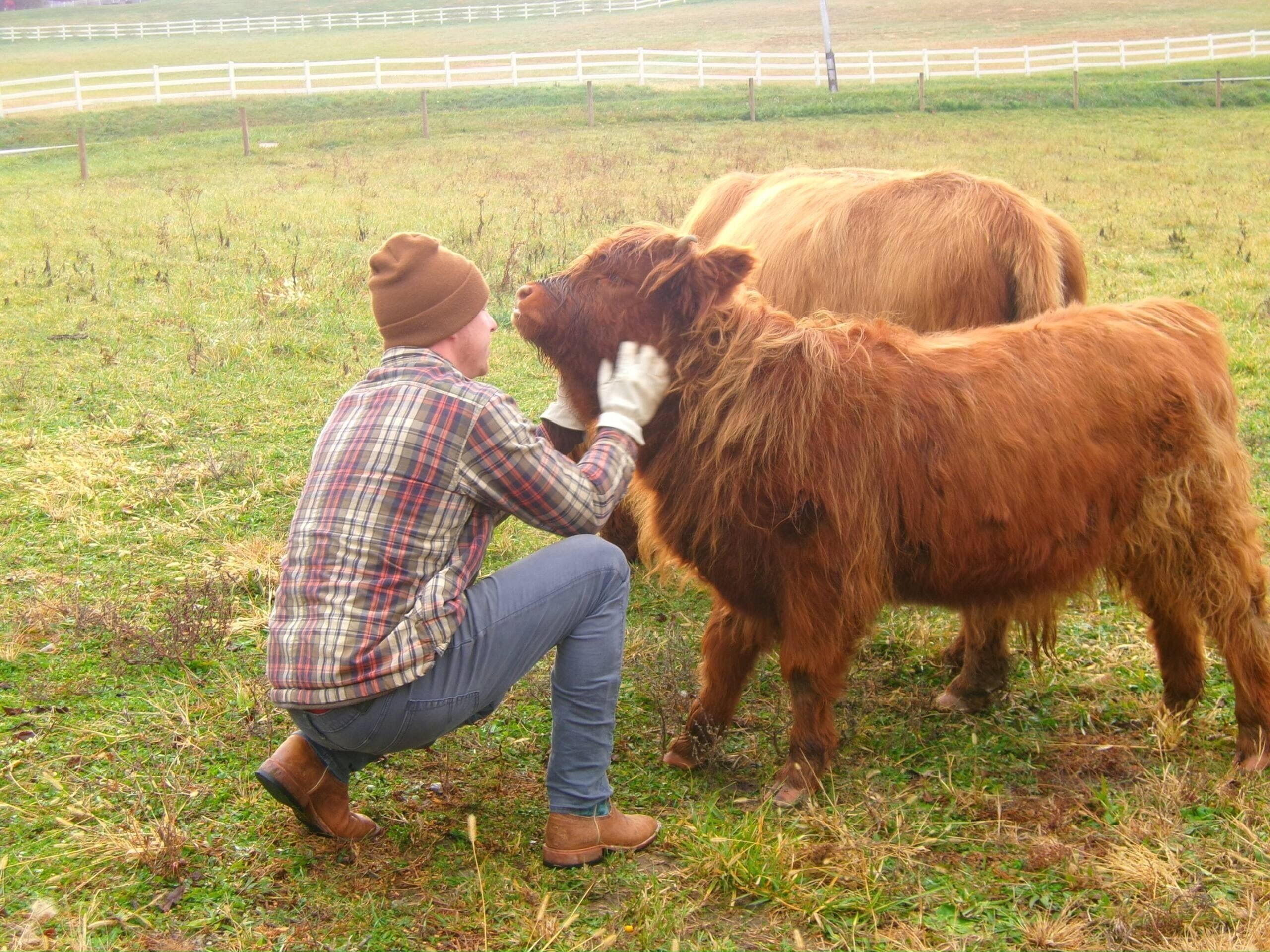Verschiedenes
