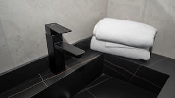 Ducha, secador de pelo, bidet, toallas
