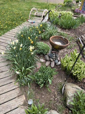 Property grounds - Lovely 2-bedroom house in Grand Marais (Grand Marais)