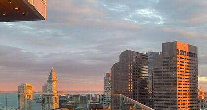 Luxury 1 bedroom downtown appartment