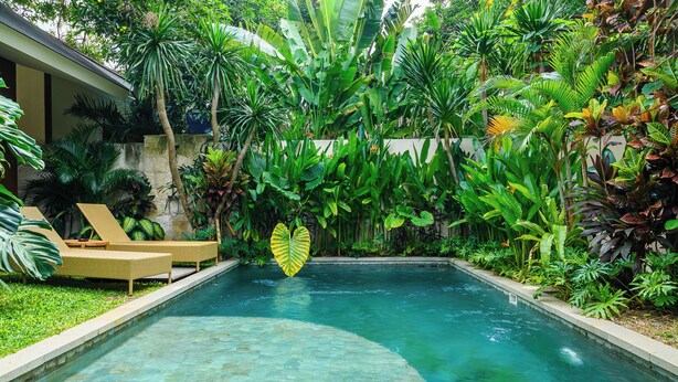 Une piscine entourée d’une végétation tropicale luxuriante et dotée d’une terrasse en bois.