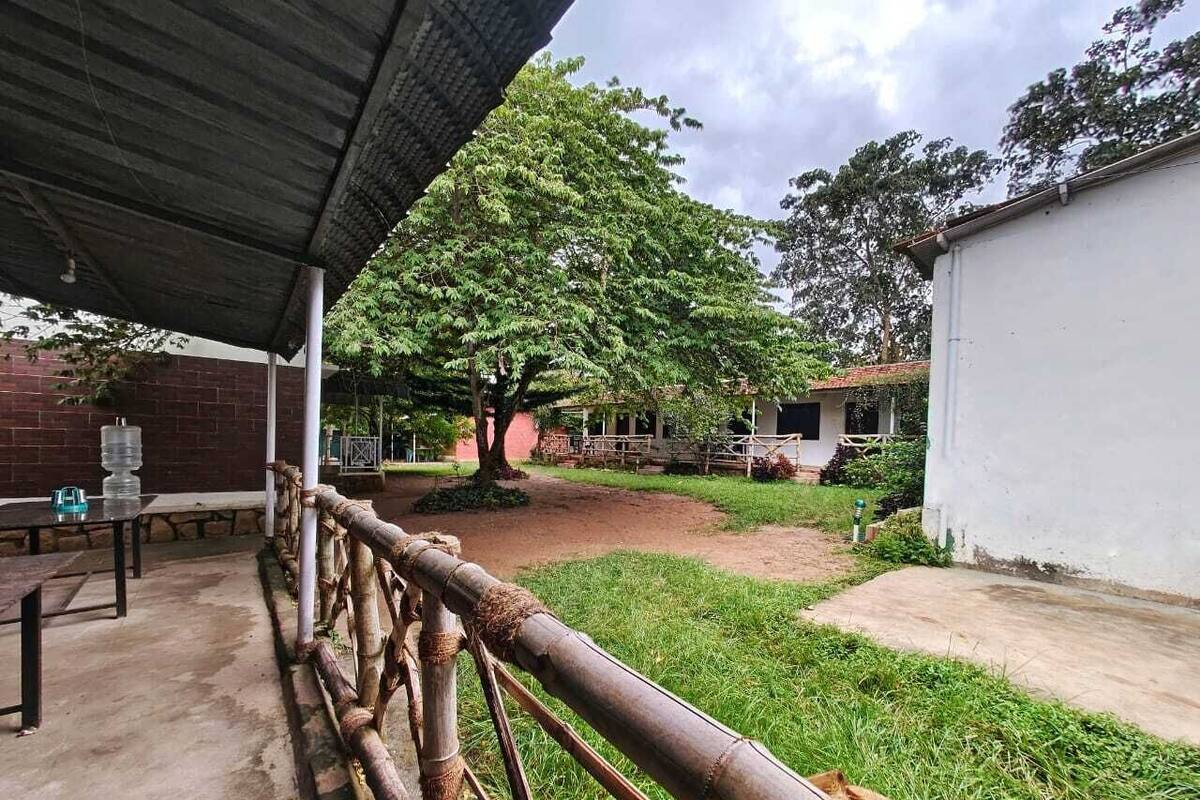 Un espace extérieur doté d’un coin salon abrité, d’une clôture en bambou et d’un arbre.