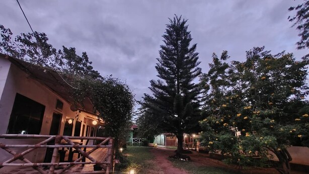 Un portón de madera rústico que da a un sendero, un gran árbol de coníferas y un edificio con porche e iluminación.
