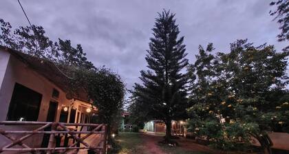 The Big Cat's Den - Maravakandy Resort