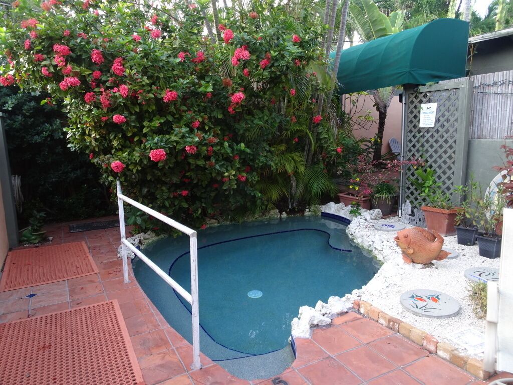 A swimming pool surrounded by a garden with flowering plants and a decorative fish statue.