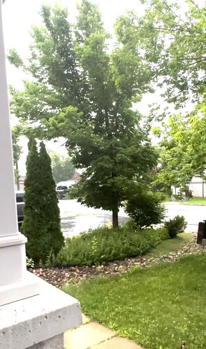 Best Family Friendly appartement and peaceful 
Gateway heart of Ottawa On.