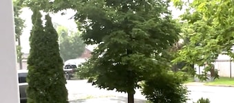 Best Family Friendly appartement and peaceful
Gateway heart of Ottawa On.