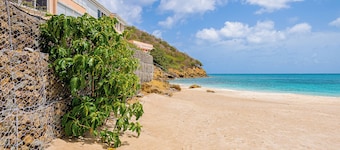 Caribbean Home