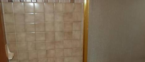 A bathroom with a bathtub, a shower enclosure, and a tiled wall.