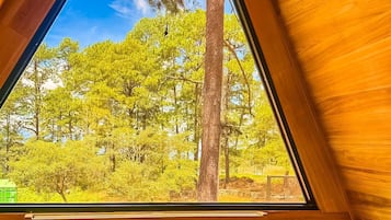 1 bedroom, WiFi