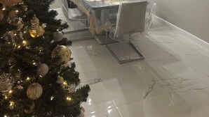 Un comedor con mesa cubierta, sillas, un árbol de Navidad y una lámpara en el techo.