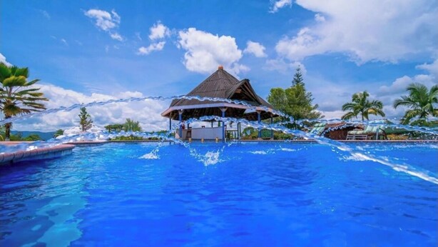 A swimming pool with a thatched-roof structure in the center, surrounded by palm trees and clear skies. - Finca Hotel El Ocaso Quimbaya (Quindío)