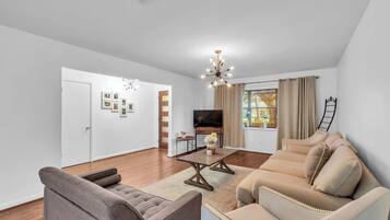 Fernseher, Arbeitsbereiche