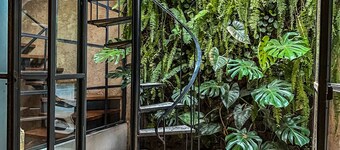 Casa Velvet Luxury and Centic House in Antigua