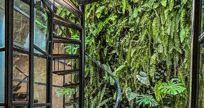 Casa Velvet Luxury and Centic House in Antigua