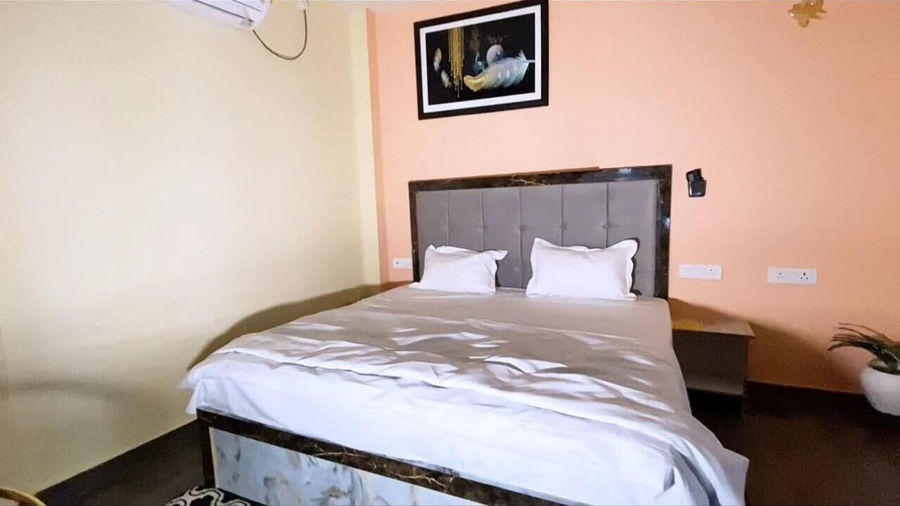 A bedroom with a bed, a nightstand, a wall-mounted air conditioner, a framed picture, and a potted plant.