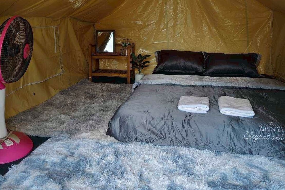 A tent with a bed, a fan, and a small table with a plant.