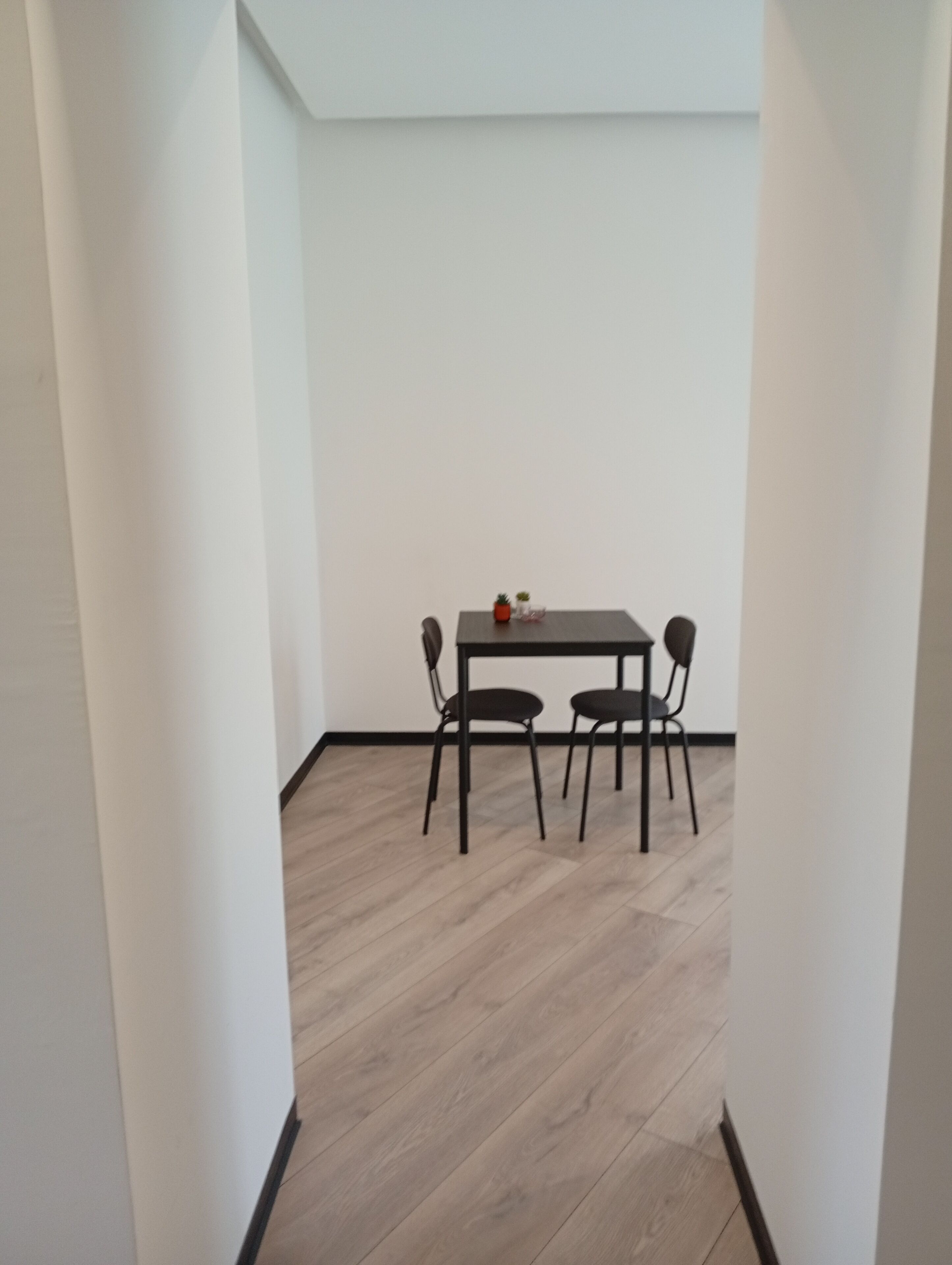 A narrow hallway leading to a dining area with a table and two chairs, a small potted plant on the table, and a light-colored wooden floor.