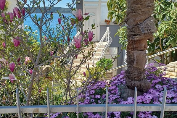 Un jardin agrémenté de plantes à fleurs, d’un palmier et offrant une vue sur la mer.