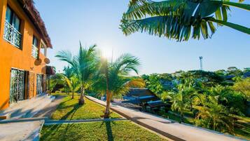 Terrein van de accommodatie