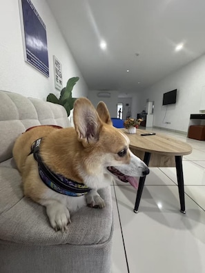 Quarto triplo família, varanda, vista para a piscina | Área de estar