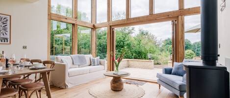 Télévision, cheminée