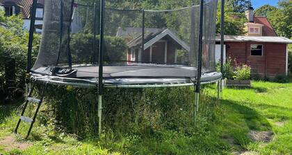 Dream home in beautiful 1920s house!