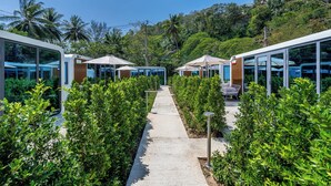 A pathway flanked by modern, glass-walled structures with outdoor seating areas, leading towards a lush, green hillside. - Apple House (Choeng Thale)