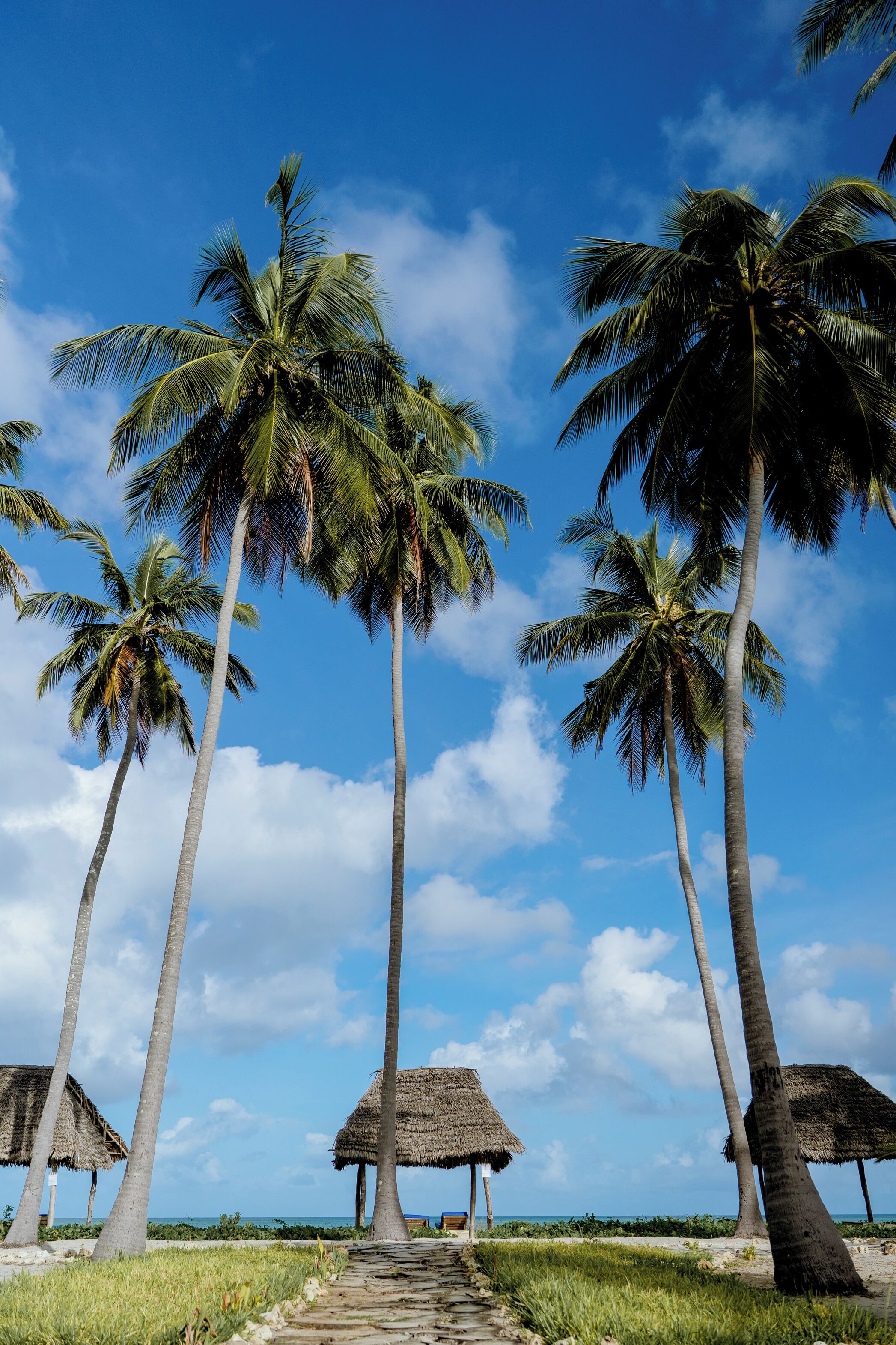 A pathway leading to thatched-roof huts surrounded by tall palm trees under a clear blue sky.