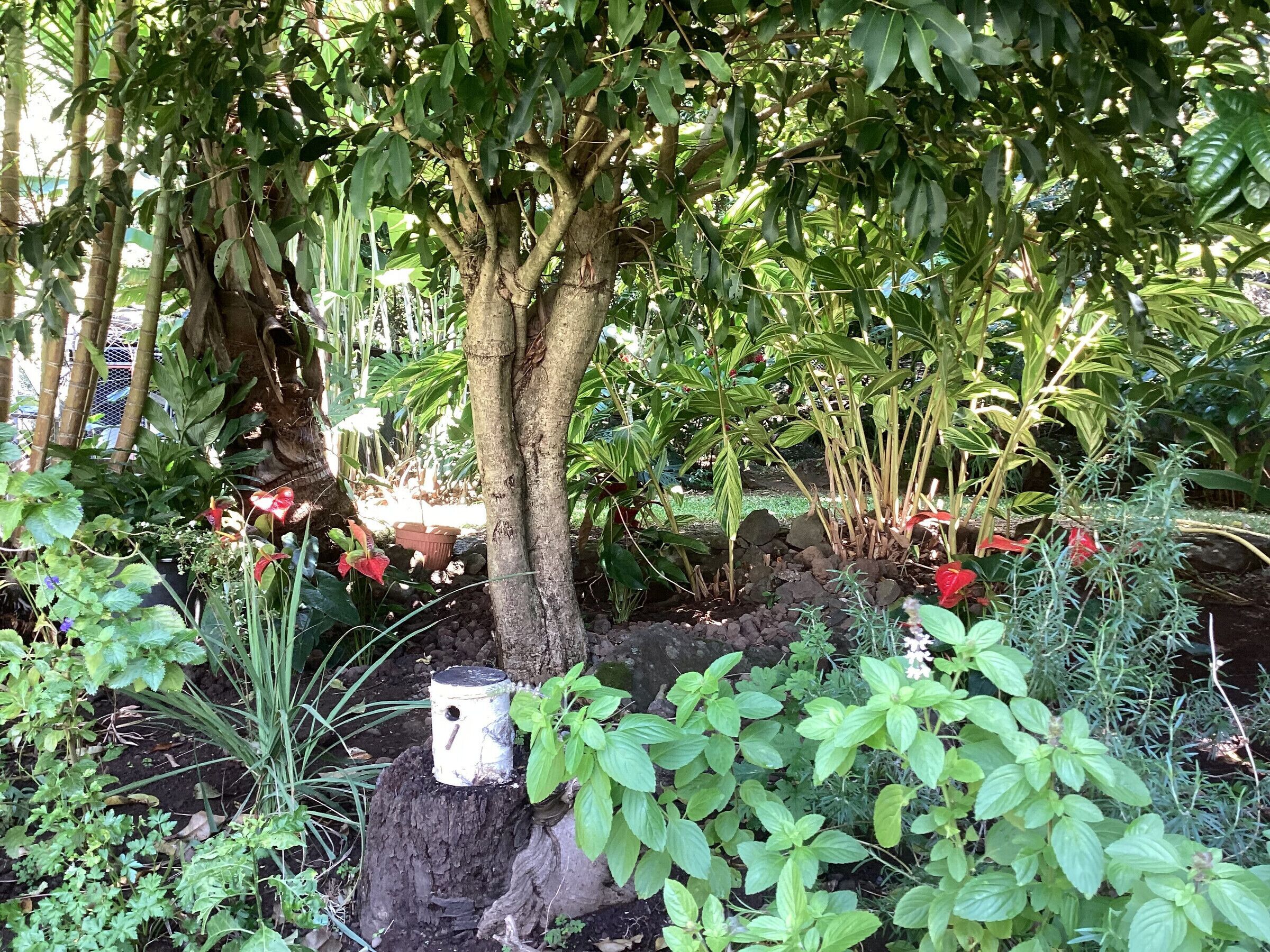 Enceinte de l’hébergement