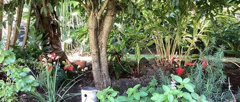 Overnatningsstedets område