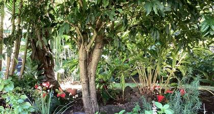 Maison de campagne à St Joseph pour découverte du sud sauvage