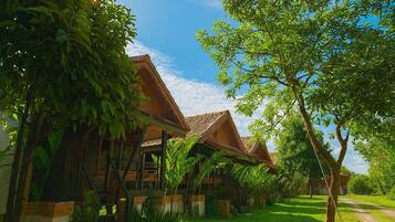 Vue depuis l’hébergement