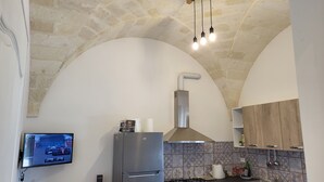 Une cuisine avec un plafond en pierre, un réfrigérateur moderne, une cuisinière et un téléviseur à écran plat.