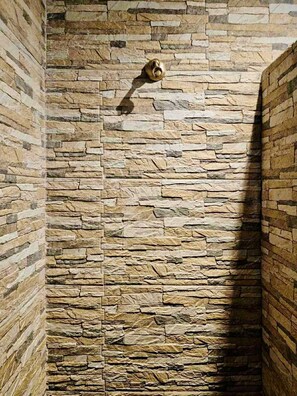 Shower, hair dryer, towels, toilet paper