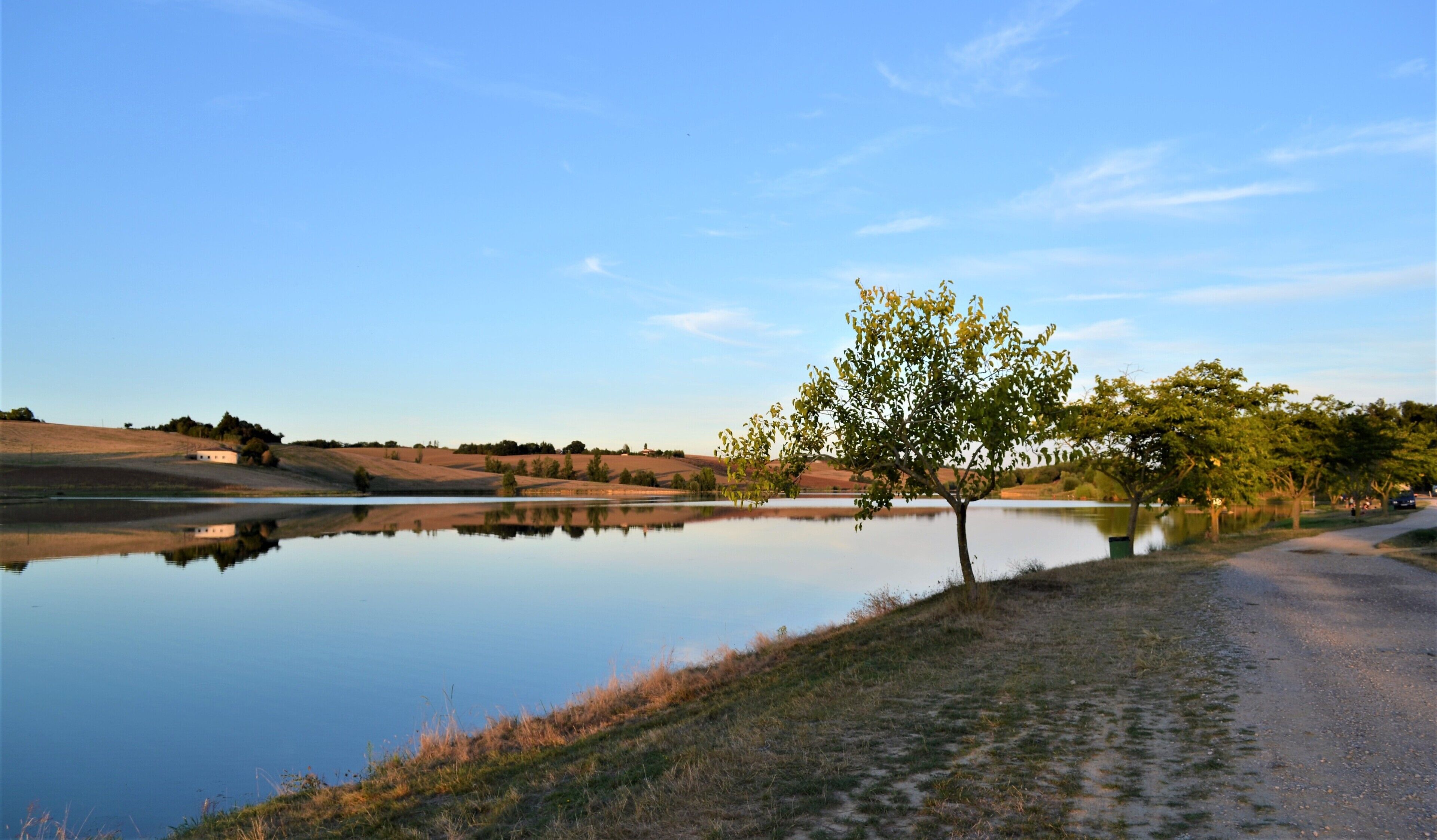 A serene landscape with a calm lake, a solitary tree, and a dirt path leading to a parked car.