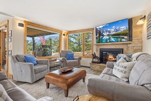 TV, fireplace, books