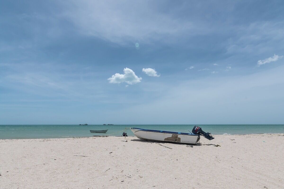 オーナーのプロフィール画像