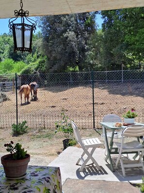 Servei de restauració a l'aire lliure