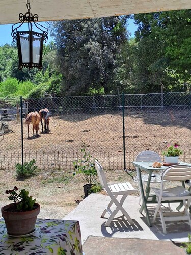 Double room with private bathroom and small exclusive garden