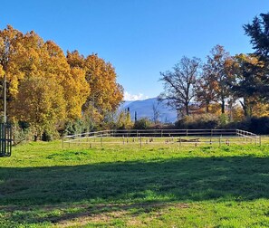 Property grounds - Double room with private bathroom and small exclusive garden (Narni Scalo)