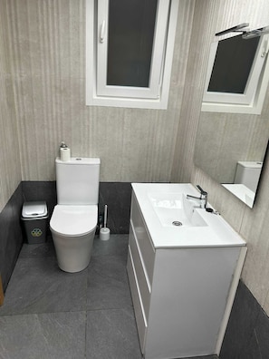 Shower, hair dryer, bidet, towels
