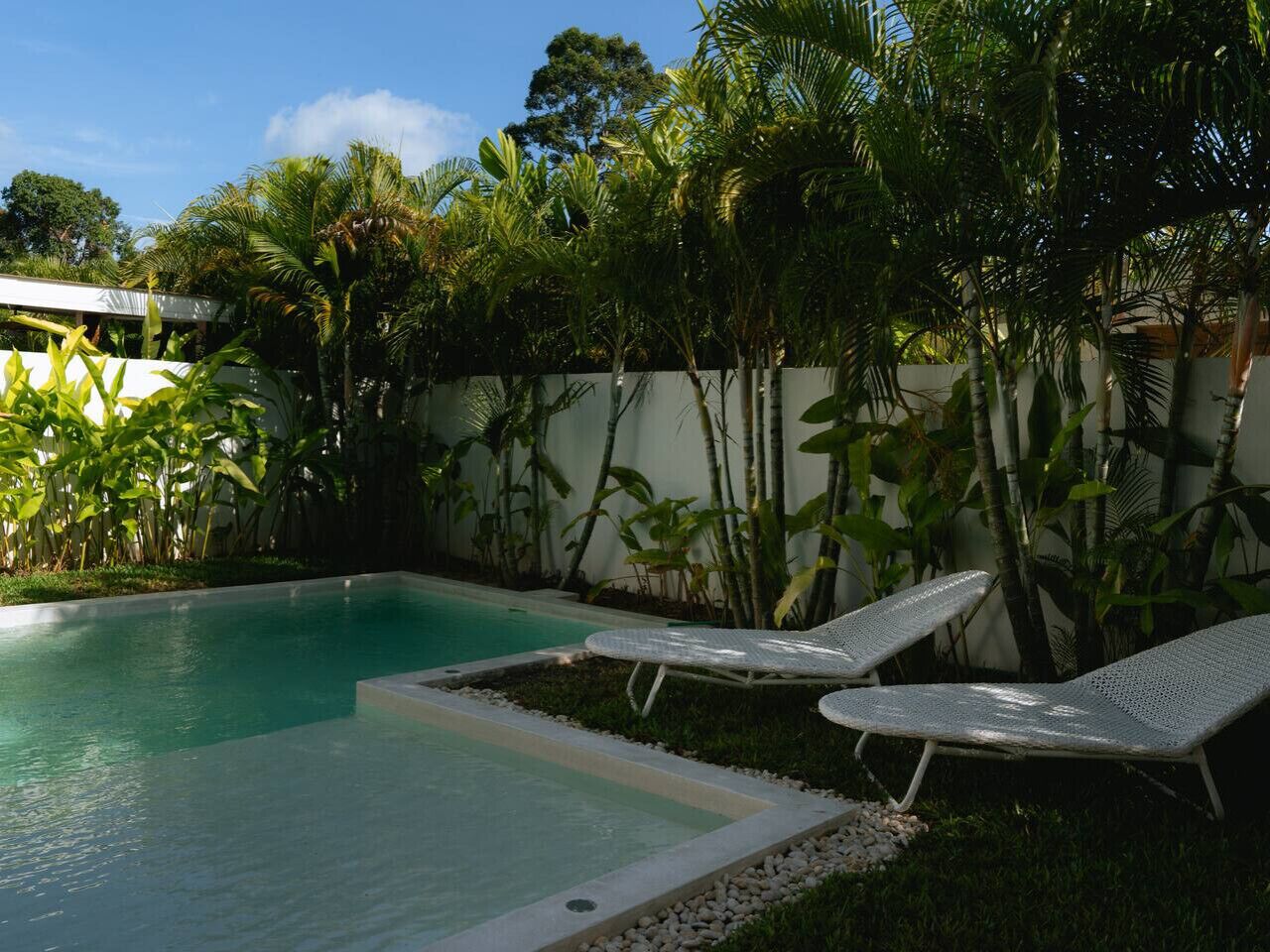 A swimming pool with two lounge chairs, surrounded by lush greenery and a white wall.