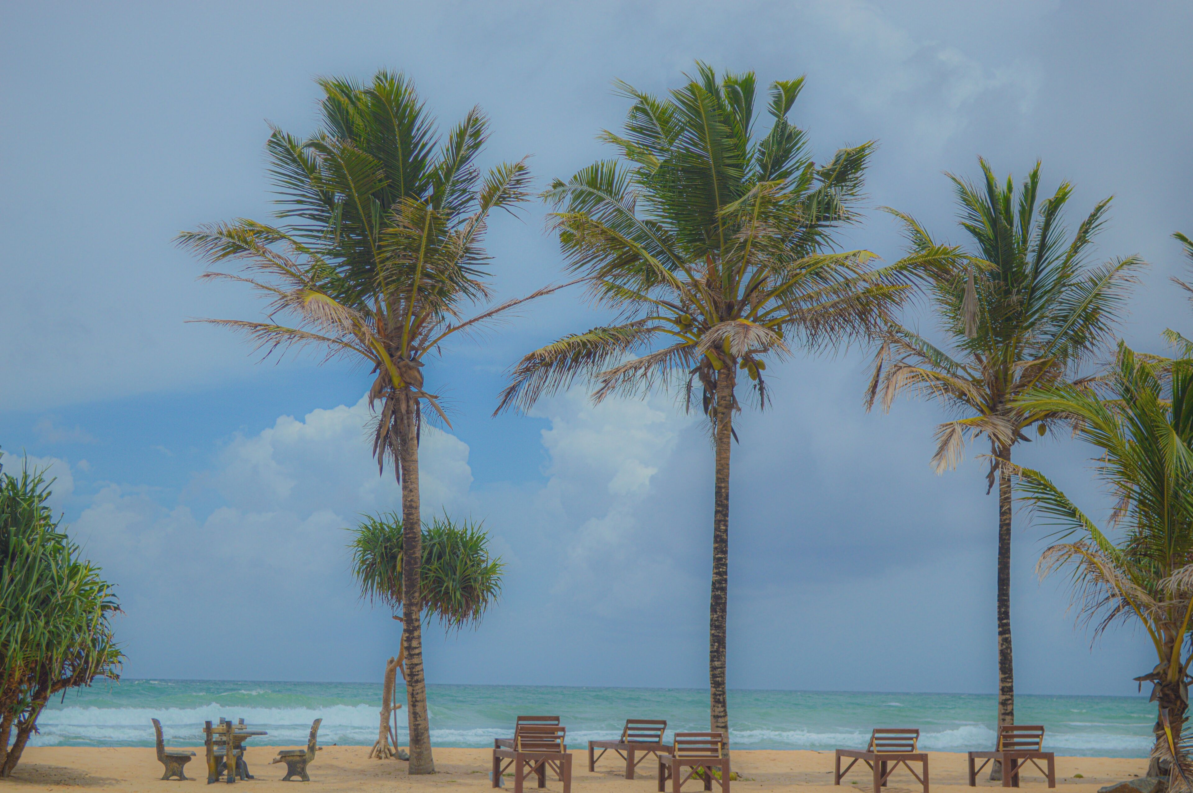 Una spiaggia con palme e sedie di legno.