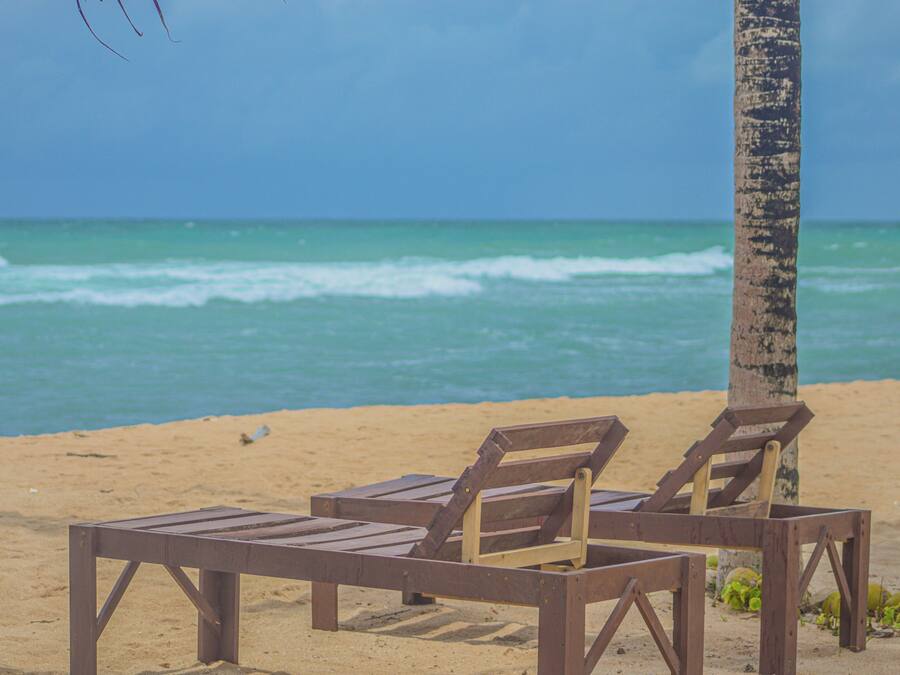Ein Strand mit zwei Holzliegen und einer Palme.