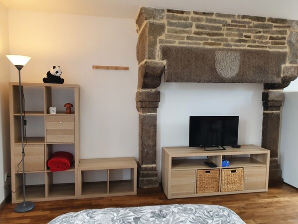 A cozy living room with a stone fireplace, a wooden TV stand, a floor lamp, and a bookshelf.