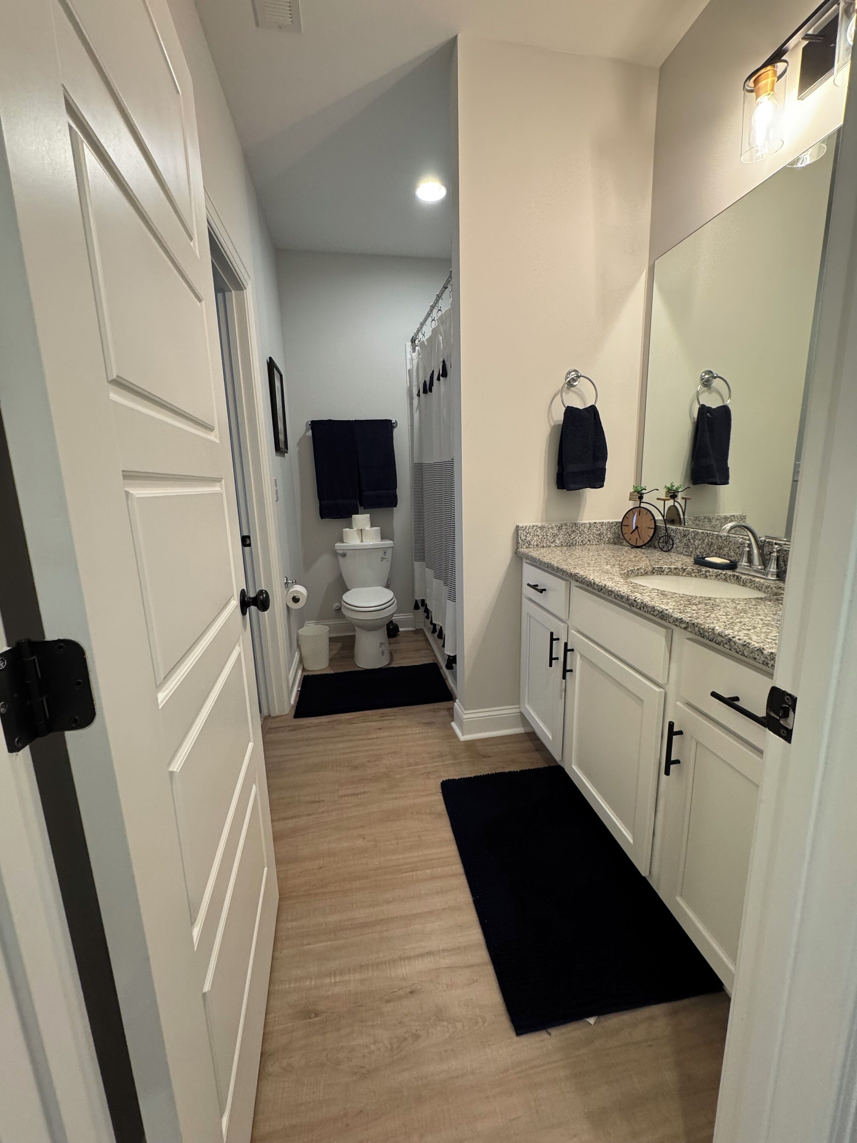 Shower, hair dryer, towels, toilet paper