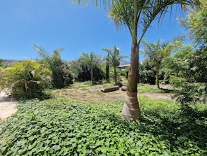 Property grounds - VILLA WITH PRIVATE AND EXCLUSIVE POOL FOR YOUR USE (CN)
